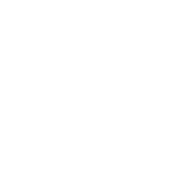 Icon Auslandsaktivitäten